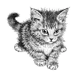 Meilleure vente 🧨 Tampon Bois Chaton Crépu ARTEMIO ✔️