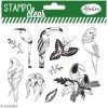 Coupon 🔔 Aladine Tampon Transparent Kit Stampo Clear - Oiseaux Tropicaux - 10 Tampons Clear 😀