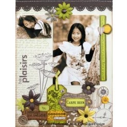 Tampons scrap Soldes -Tampons scrap Soldes unnamed file 1508