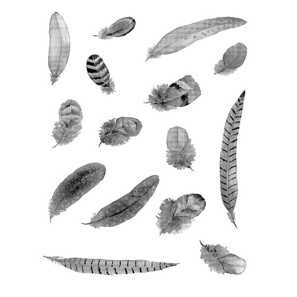 Bon marché ❤️ Tampon Transparent Tampon Clear Artemio - Aquarelle - Plumes - 15 Pcs 😀 2 Bon marché ❤️ Tampon Transparent Tampon Clear Artemio - Aquarelle - Plumes - 15 Pcs 😀 – Image 2