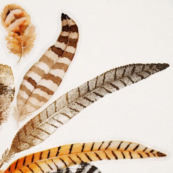 Bon marché ❤️ Tampon Transparent Tampon Clear Artemio - Aquarelle - Plumes - 15 Pcs 😀 4 Bon marché ❤️ Tampon Transparent Tampon Clear Artemio - Aquarelle - Plumes - 15 Pcs 😀 – Image 4