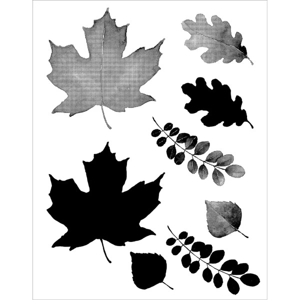 Vente flash 😀 Tampon Transparent Tampon Clear Artemio - Aquarelle - Feuilles - 8 Pcs 👏 2 Vente flash 😀 Tampon Transparent Tampon Clear Artemio - Aquarelle - Feuilles - 8 Pcs 👏 – Image 2